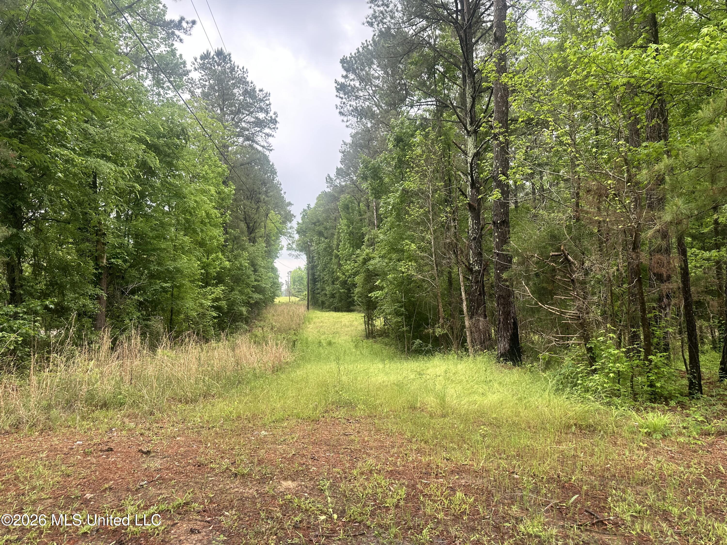 6936 Hillsboro-Ludlow Road Forest, MS 39074 - Photo 21 of 22 IMG_6497