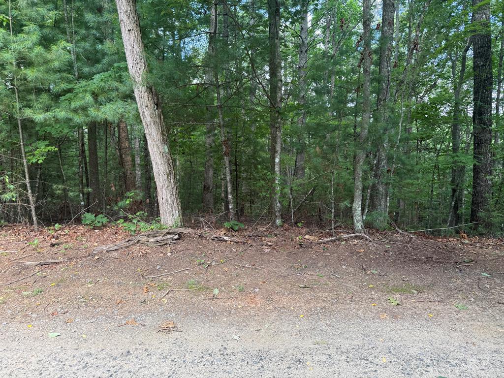 0 Guy Eller Road Murphy, NC 28906 - Photo 1 of 6 Main View