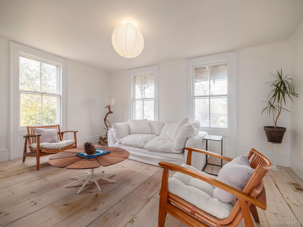 7220 Main Road East Marion, NY 11939 - Photo 21 of 44 a living room with furniture a fireplace and a potted plant