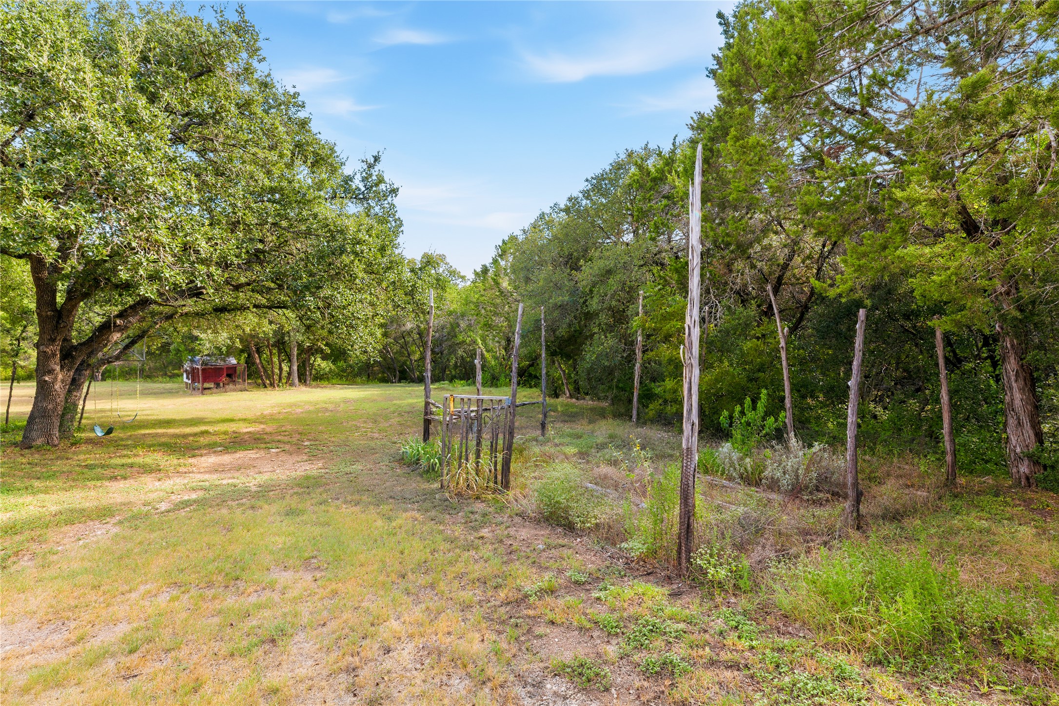 12901 Wire Road Leander, TX 78641 - Photo 35 of 40 Mature trees frame a spacious, open grassy yard perfect for outdoor recreation and gardening.