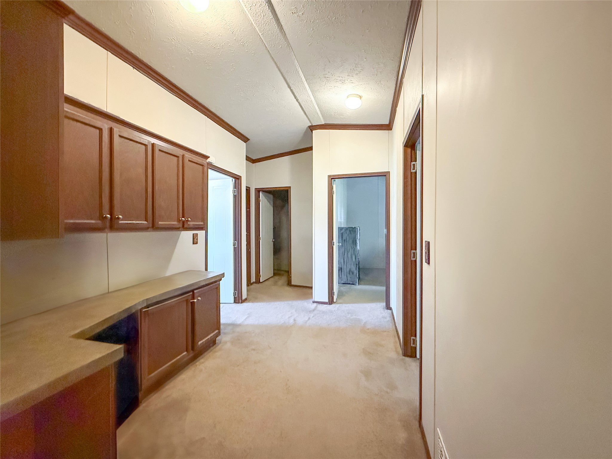 845 Caldwell Street Lexington, TX 78947 - Photo 11 of 39 Hall with light colored carpet, crown molding, a textured ceiling, and an office area