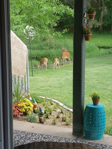 $320,000 | 209 West Chestnut Street, Pardeeville, WI 53954