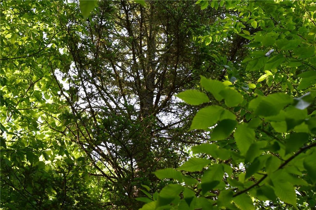 On Oliver Hill Road Garland, ME 04939 - Photo 23 of 28 Photo
