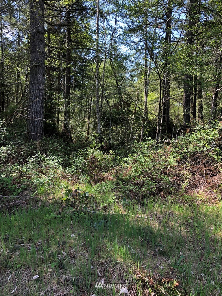 2-ac Rouse Road Southwest Longbranch, WA 98351 - Photo 1 of 5