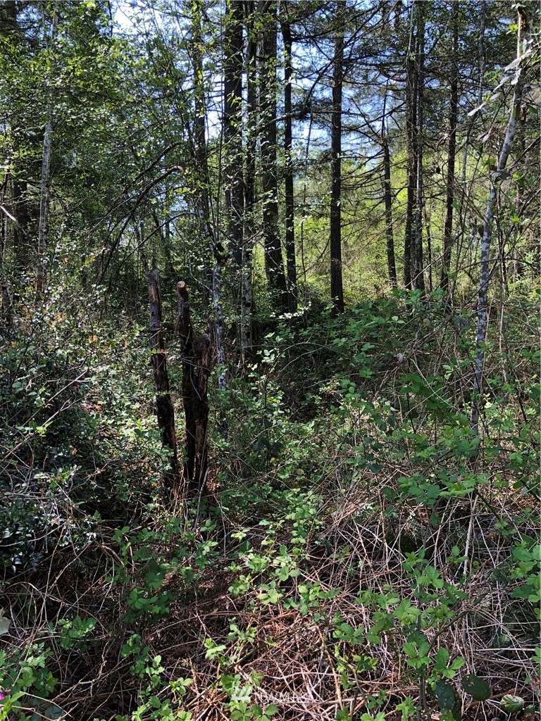 2-ac Rouse Road Southwest Longbranch, WA 98351 - Photo 2 of 5