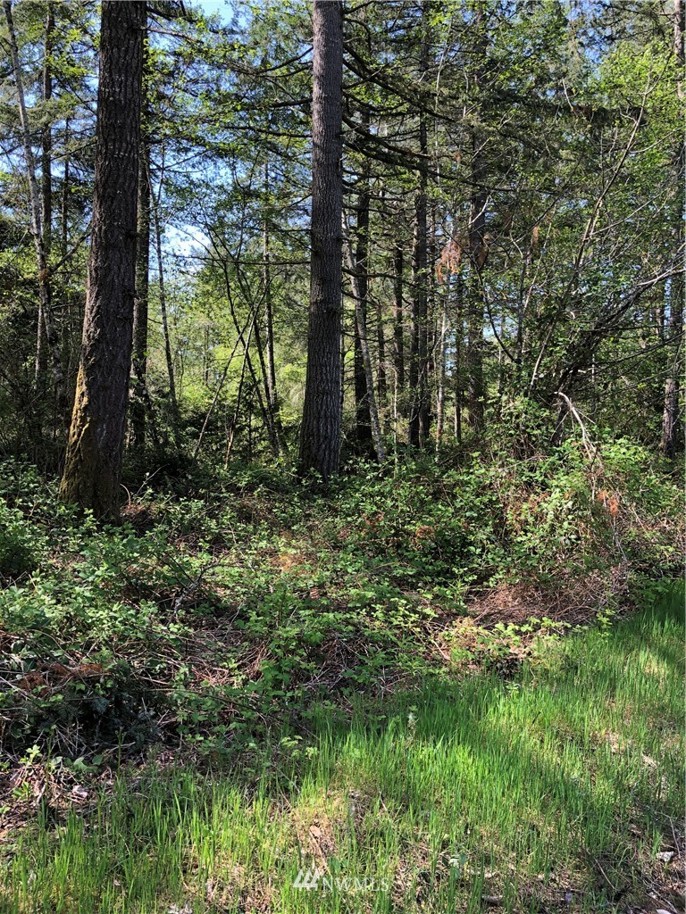 2-ac Rouse Road Southwest Longbranch, WA 98351 - Photo 4 of 5