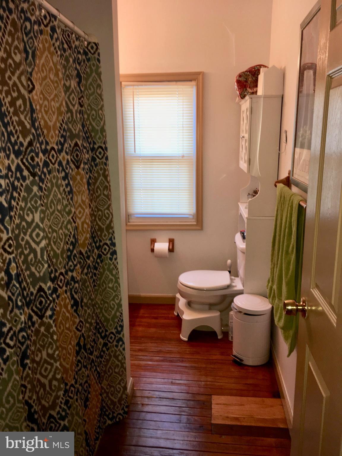 108 Burck Street Frederick, MD 21701 - Photo 4 of 19 Upstairs Bath