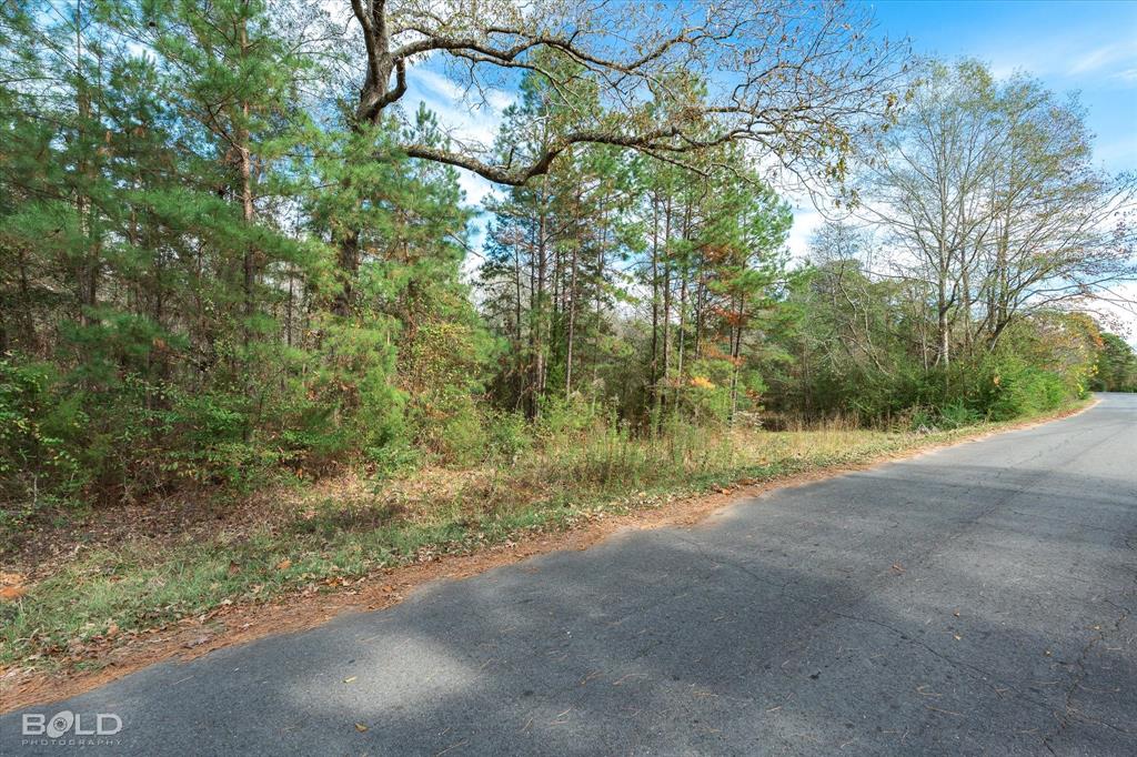 0 Camelia Street Vivian, LA 71082 - Photo 11 of 13 View of asphalt street with a wooded view