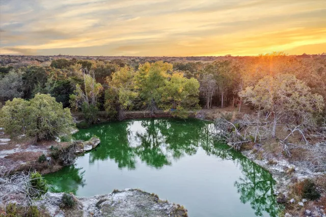 a view of a yard with an trees