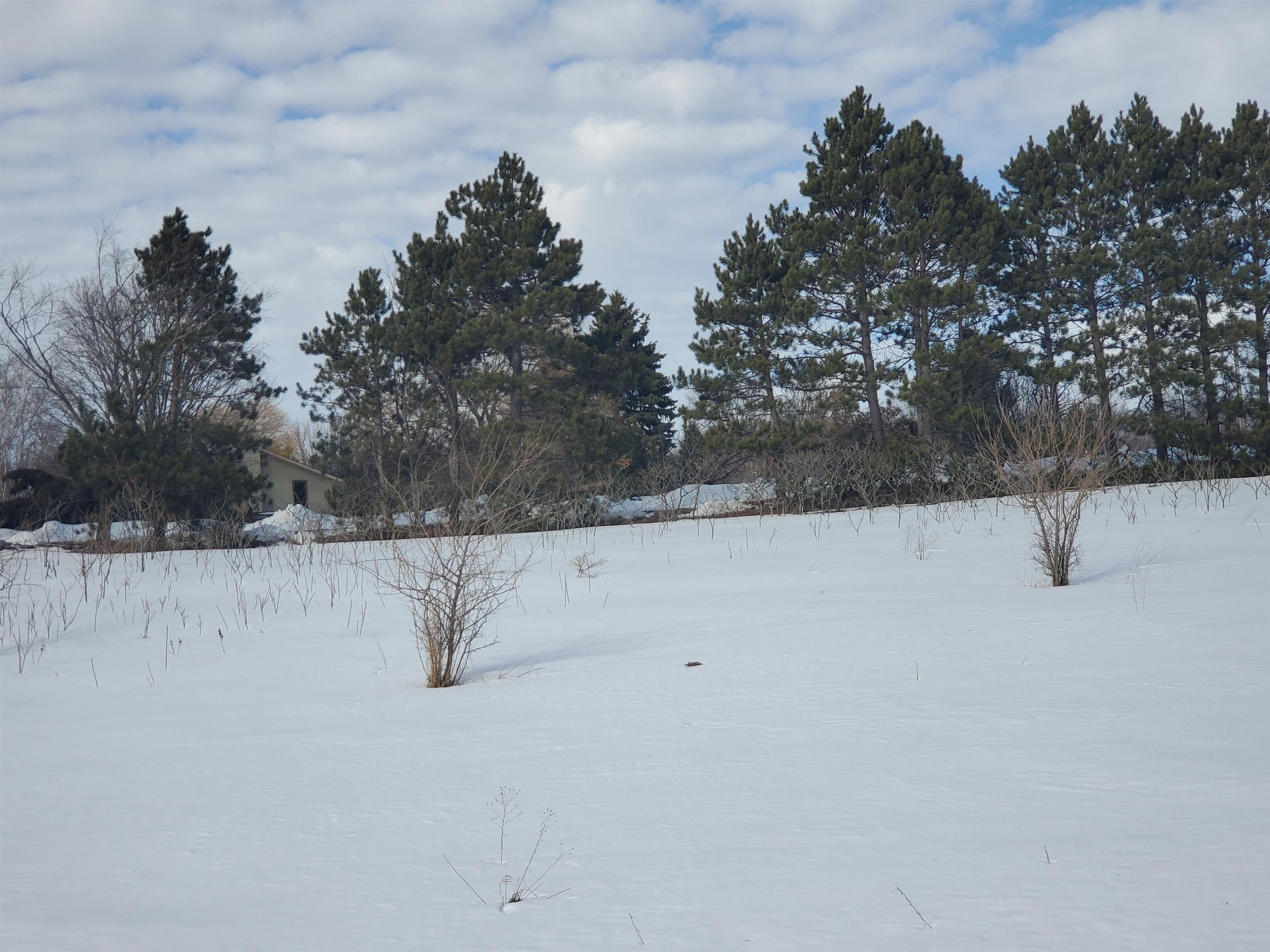 1 East Lincoln Road Cedar, MI 49621 - Photo 2 of 10