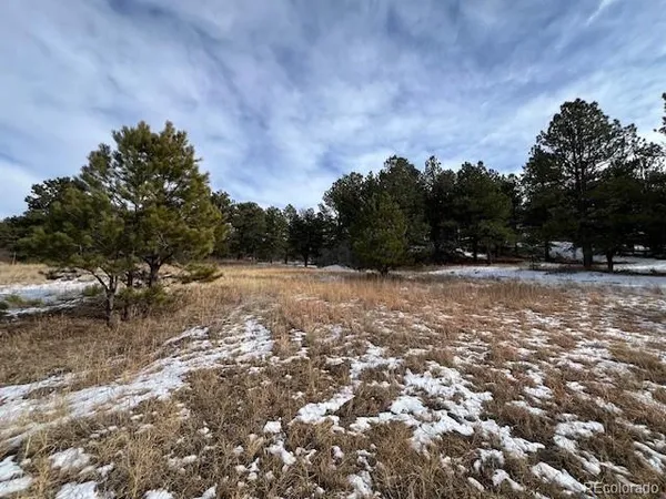 a view of outdoor space with trees all around