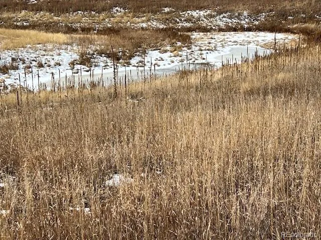 $1,700,000 | 10555 Big Sky Trail, Elbert, CO 80106