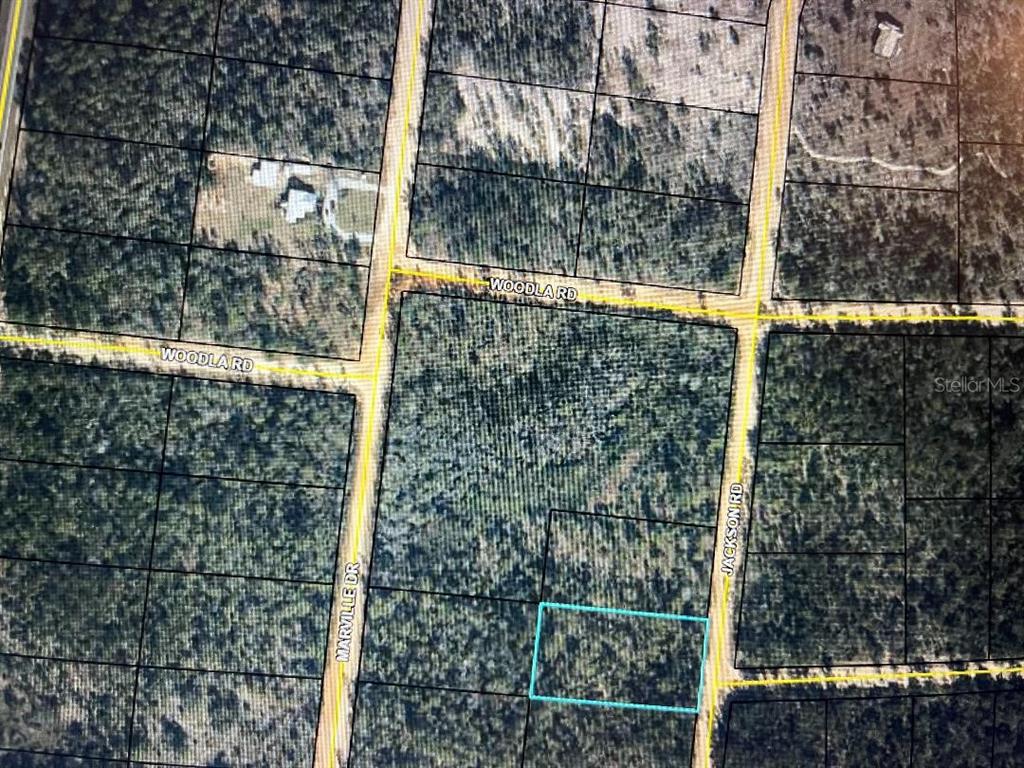 Jackson Road Marianna, FL 32448 - Photo 1 of 1 Gallery Image 1