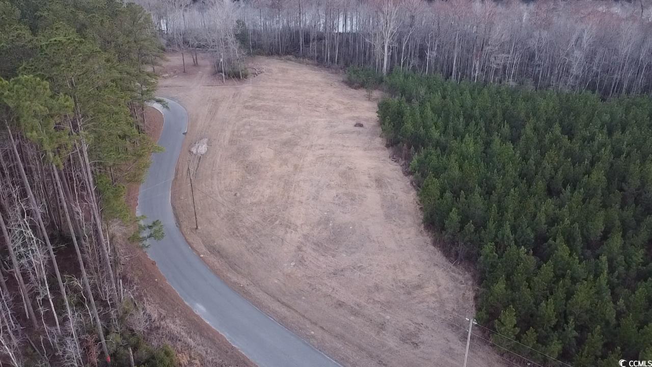 Tbd Comanche Drive Georgetown, SC 29440 - Photo 5 of 10 Bird's eye view