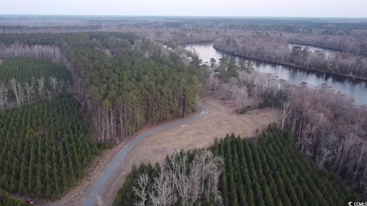 Tbd Comanche Drive Georgetown, SC 29440 - Photo 6 of 10 Aerial view with a water view and a view of trees