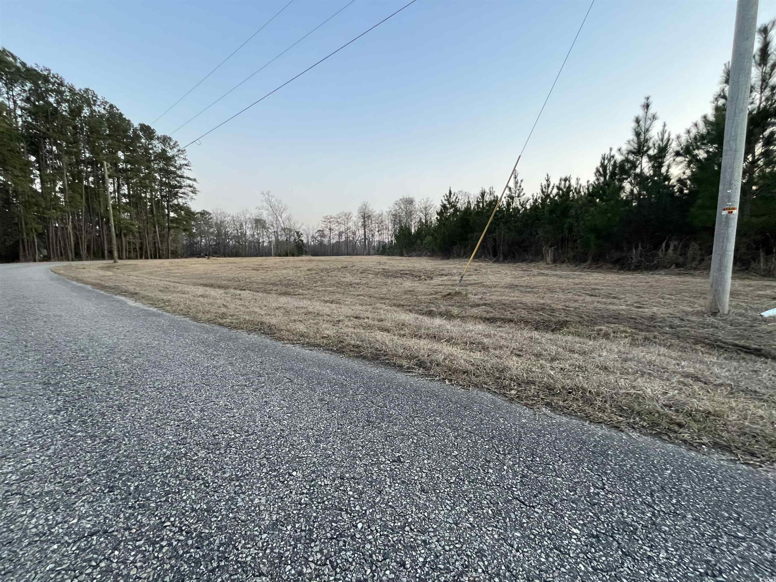 Tbd Comanche Drive Georgetown, SC 29440 - Photo 7 of 10 View of road