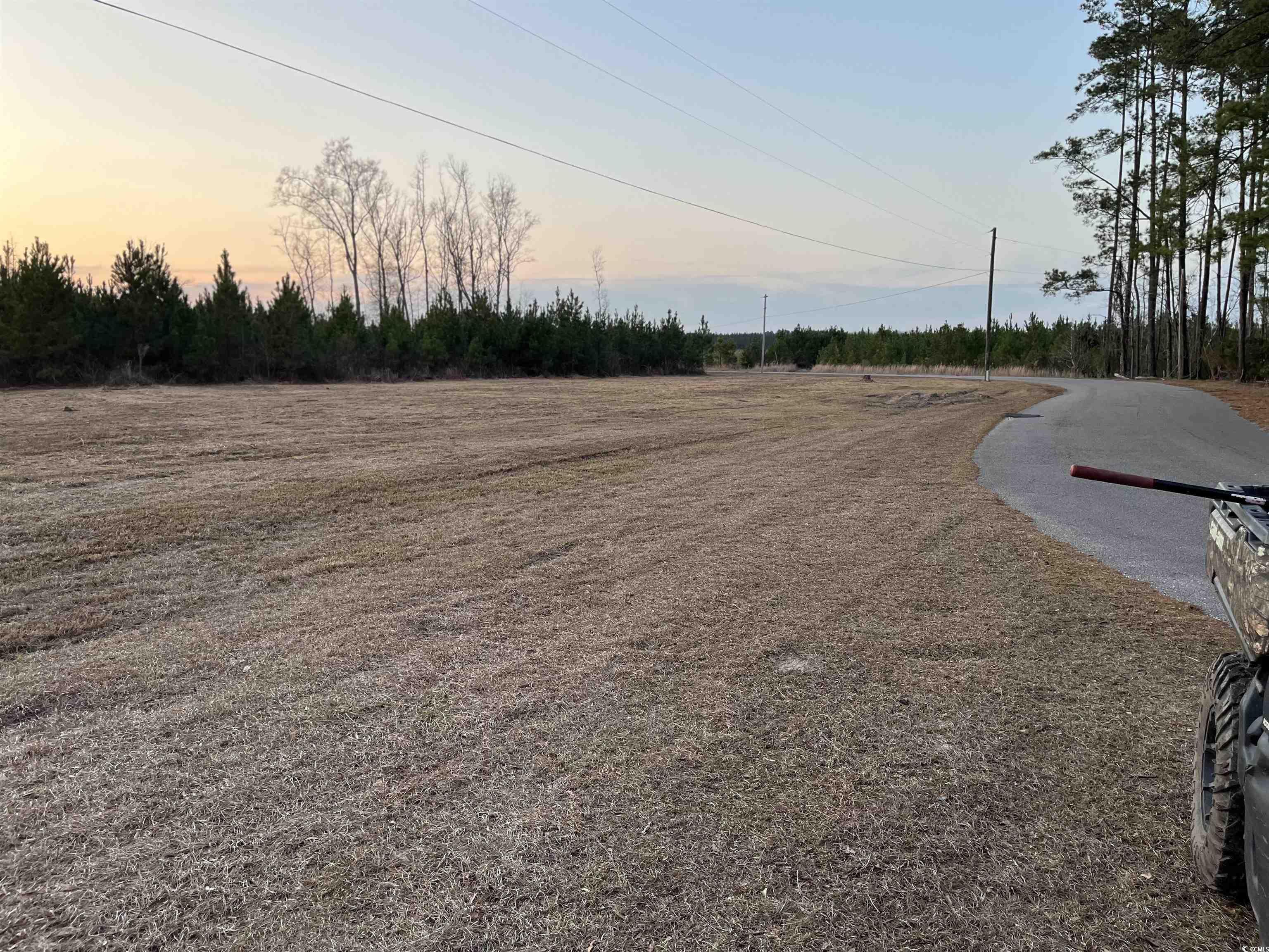 Tbd Comanche Drive Georgetown, SC 29440 - Photo 8 of 10 View of street