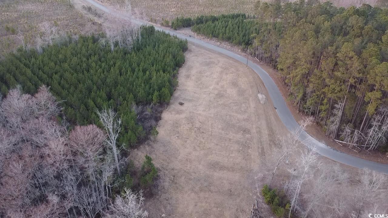 Tbd Comanche Drive Georgetown, SC 29440 - Photo 9 of 10 Drone / aerial view with a forest view