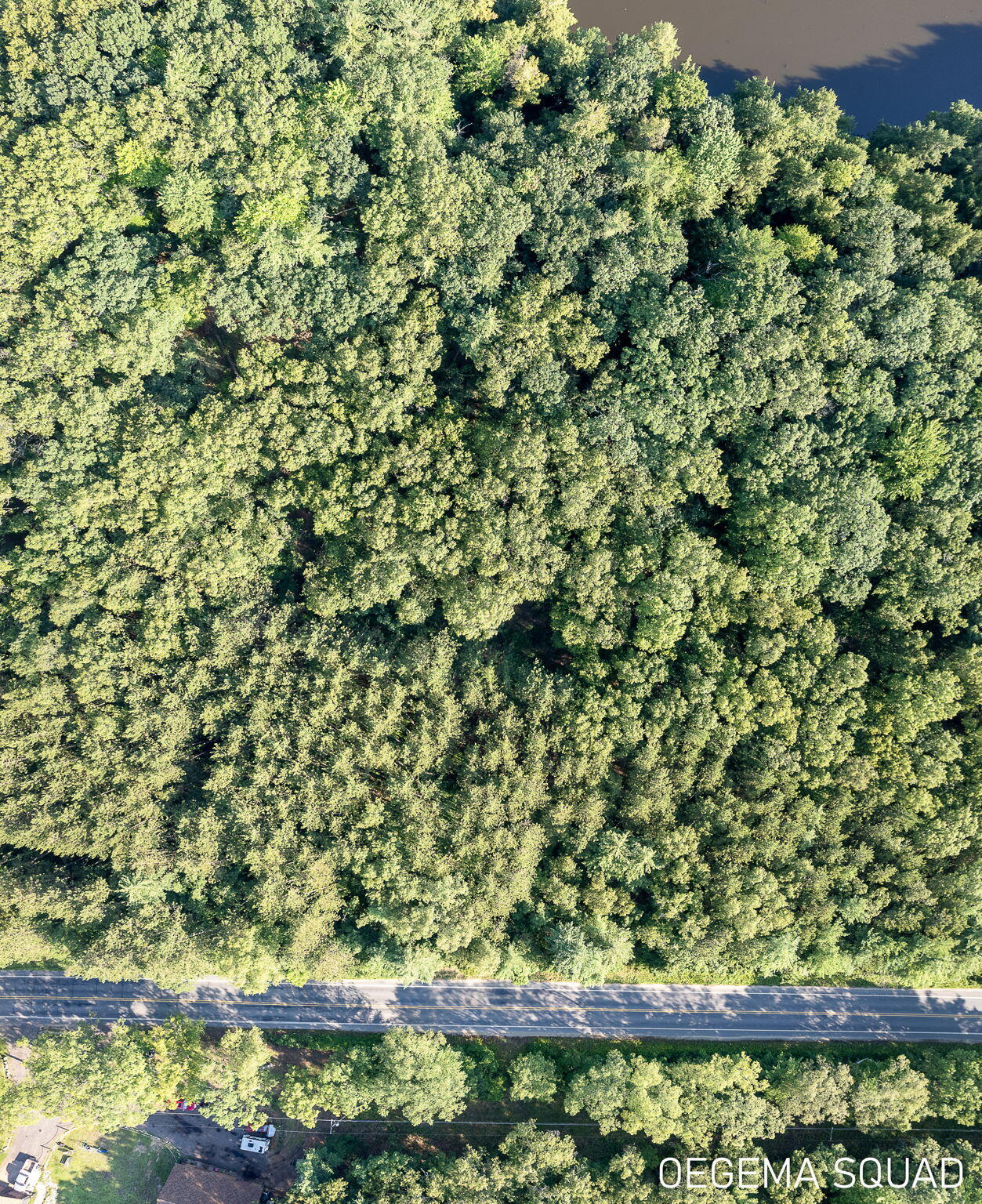 0 Monroe Road Allegan, MI 49010 - Photo 8 of 14 7-web-or-mls-monroe-rd