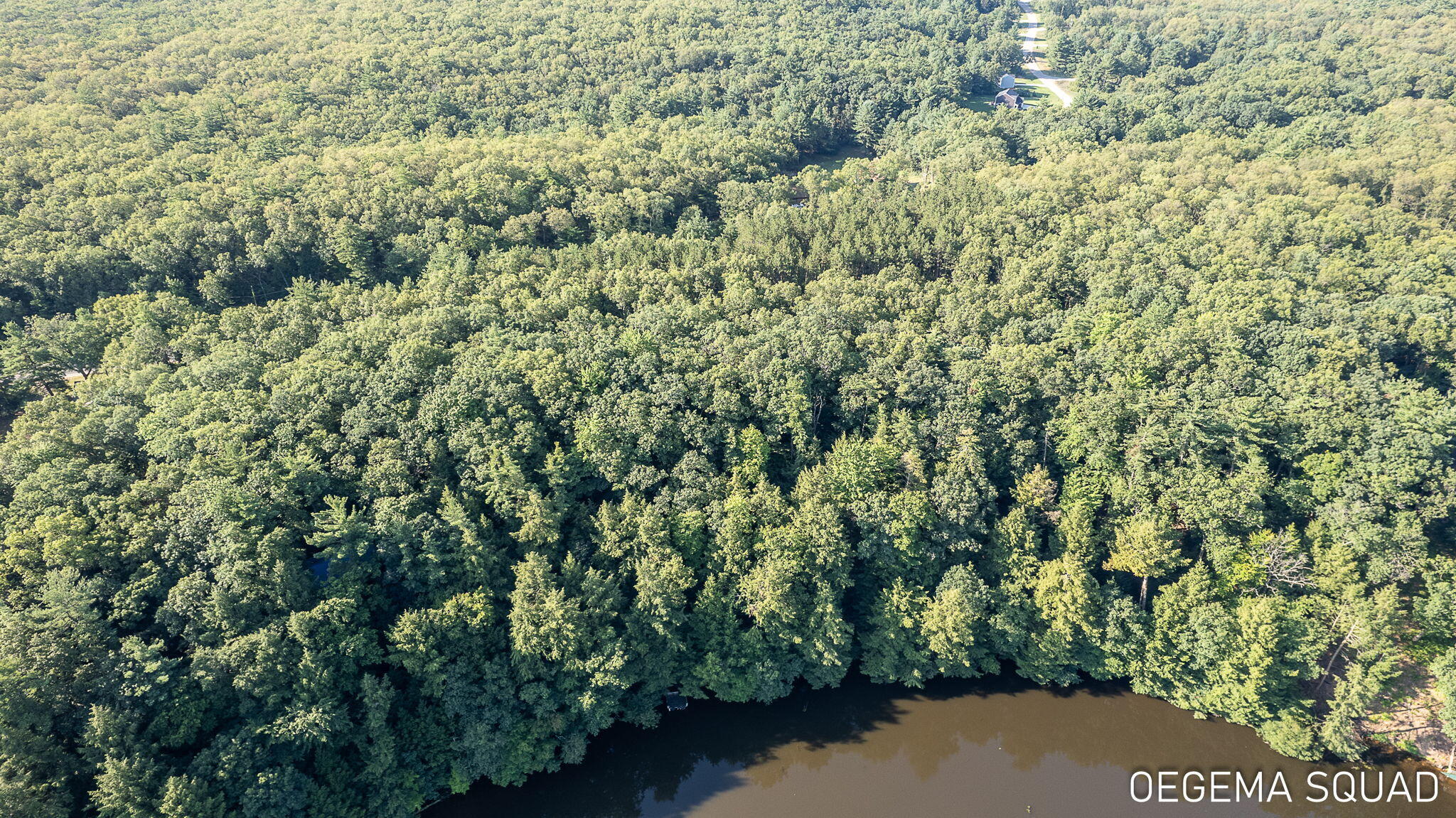 0 Monroe Road Allegan, MI 49010 - Photo 9 of 14 8-web-or-mls-monroe-rd