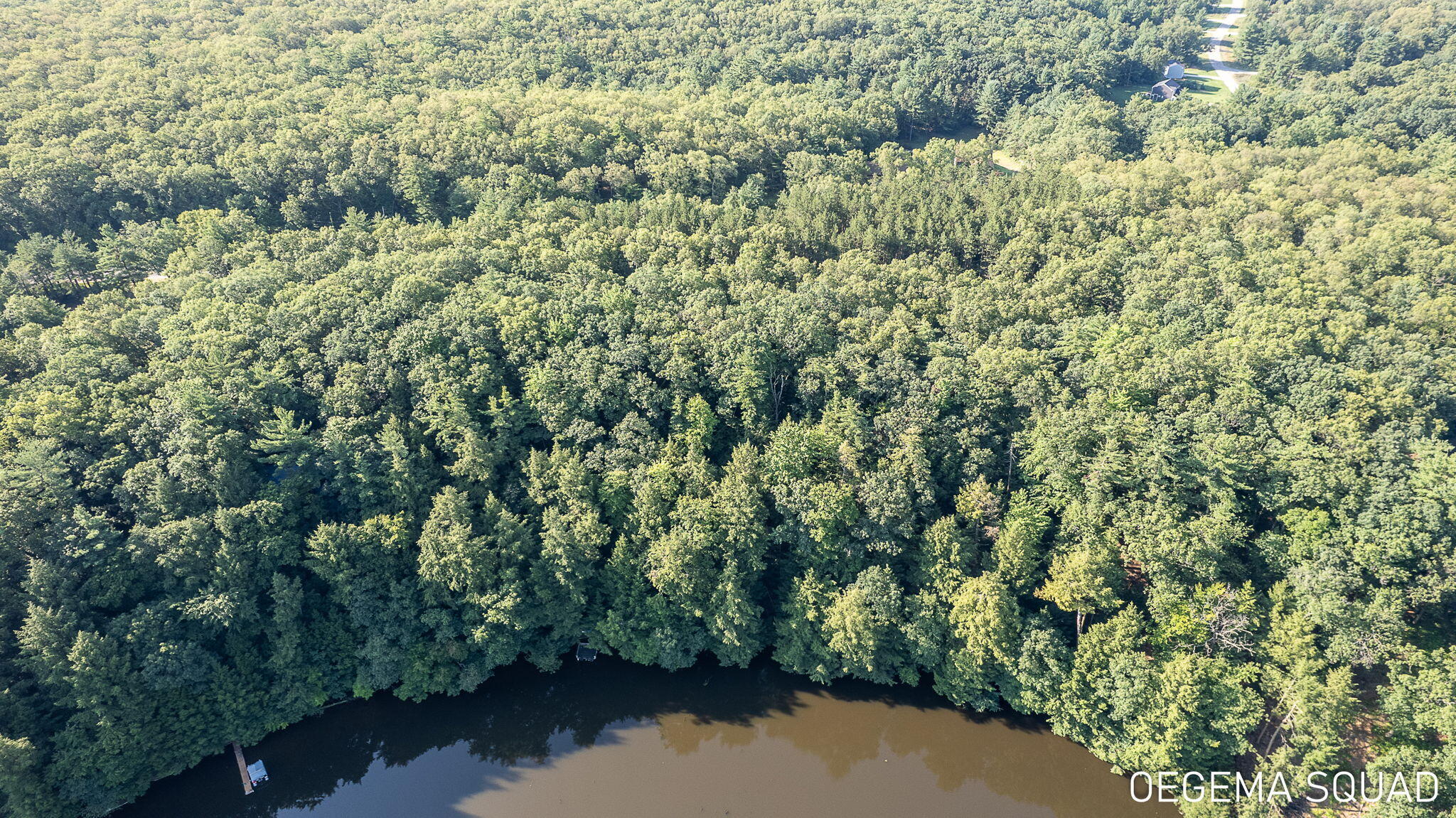 0 Monroe Road Allegan, MI 49010 - Photo 10 of 14 9-web-or-mls-monroe-rd