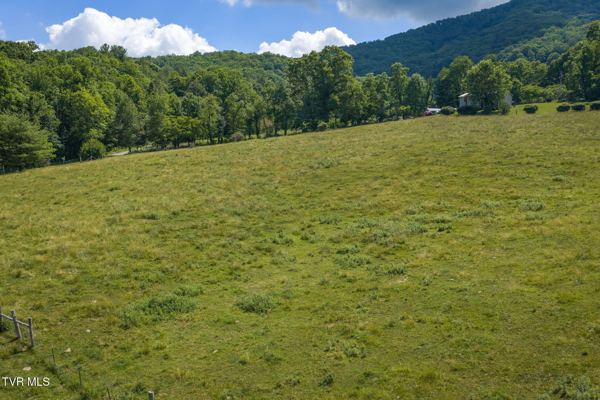 120 Teaberry Road Roan Mountain, TN 37687 - Photo 10 of 56 9-web-or-mls-DJI_20260612111638_0238_D