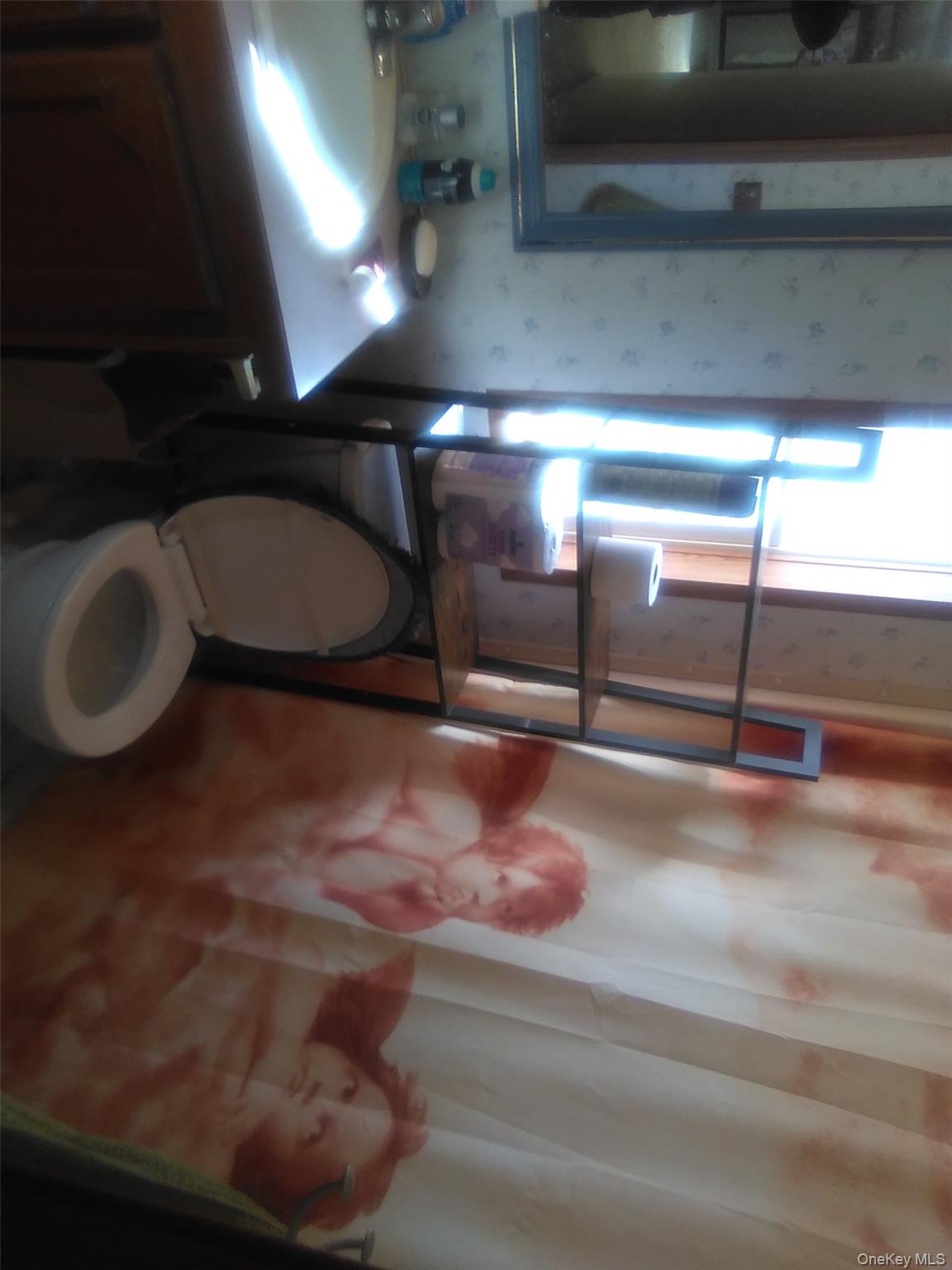 2032 Champlin Road Jefferson, NY 12093 - Photo 18 of 20 a bathroom with a toilet mirror and vanity