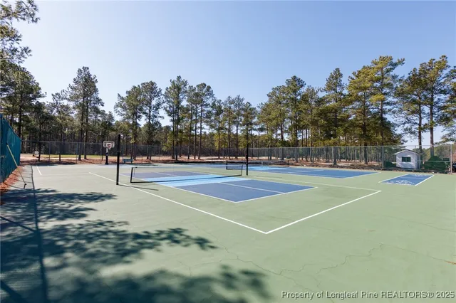 a park view with a slide