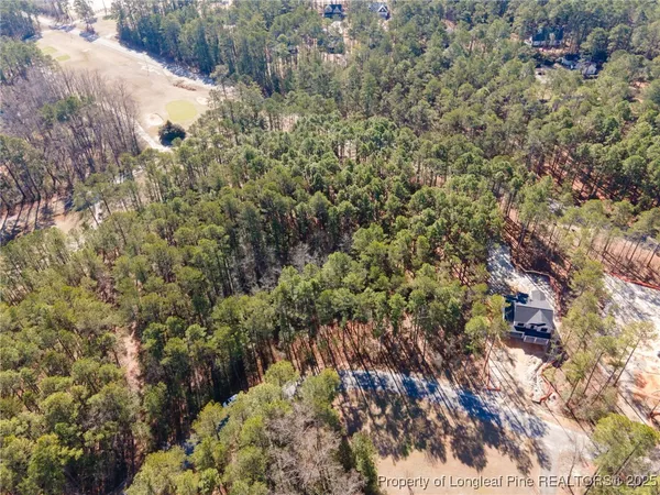 a view of a forest with trees