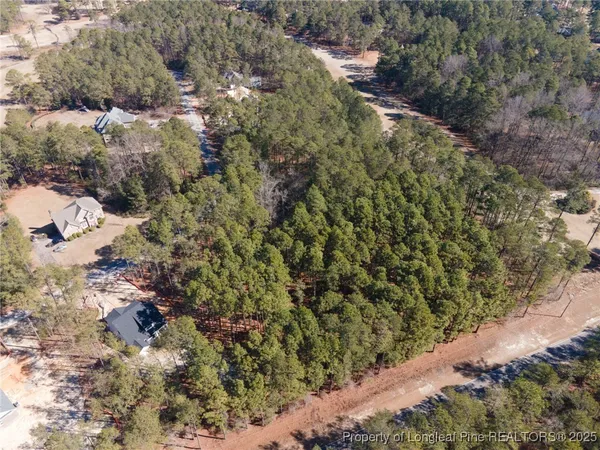 a view of a tree in a yard
