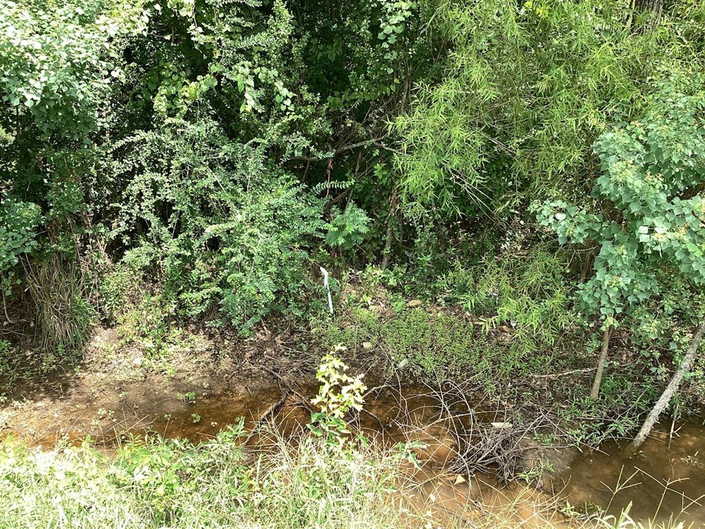 204691 Suggs Road Headland, AL 36345 - Photo 8 of 14