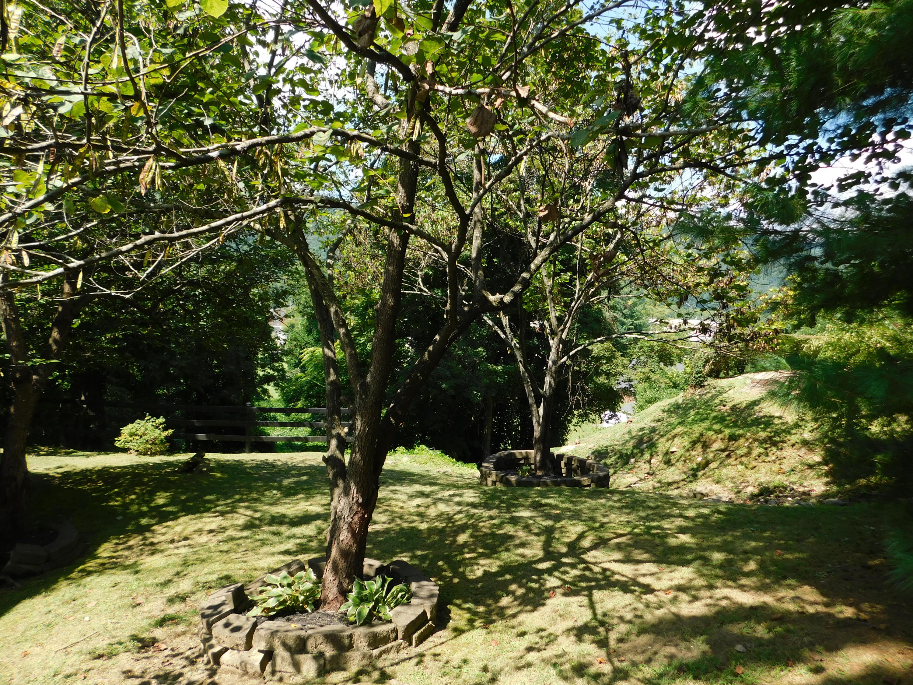 55 Timbercrest Estates Road Harlan, KY 40831 - Photo 178 of 198 DSCN5897