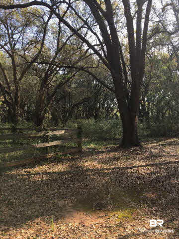 0 Sherman Road Foley, AL 36535 - Photo 2 of 8