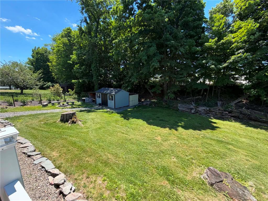 164 Sand Spring Road Cresco, PA 18326 - Photo 20 of 60 A verdant lawn framed by mature trees, with a charming storage shed.