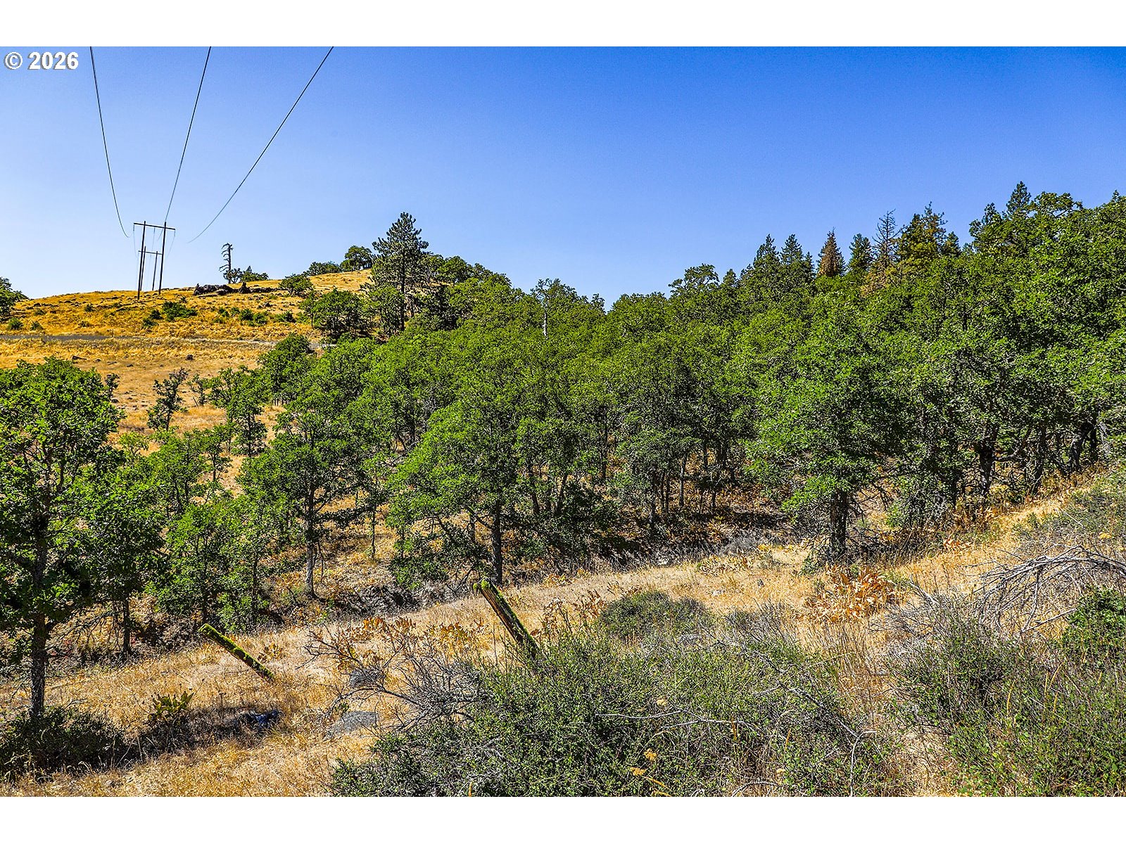 2300 Dry Creek Road Mosier, OR 97040 - Photo 12 of 34
