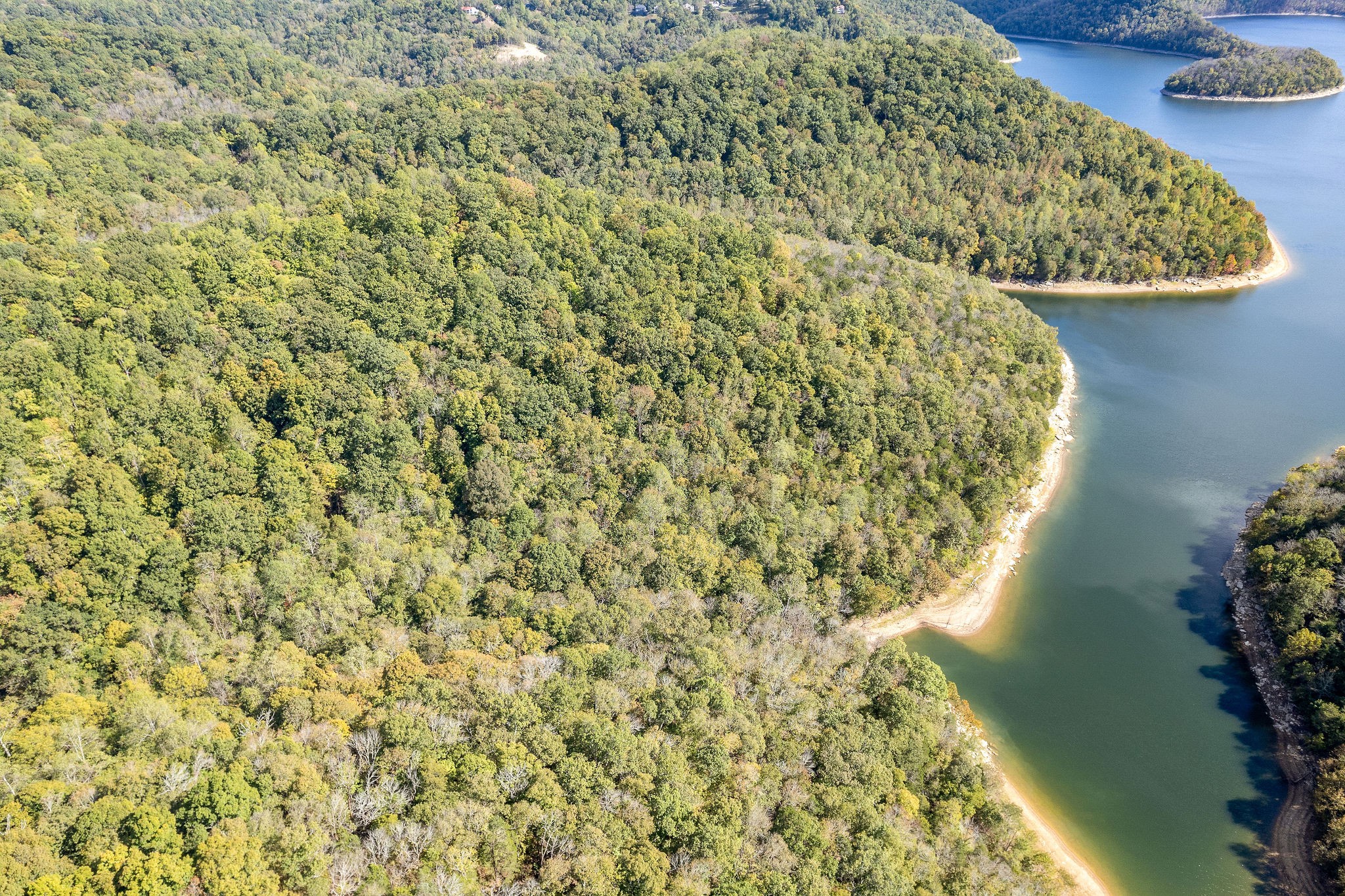 0 Smithville Highway Silver Point, TN 38582 - Photo 10 of 15 a close up of a plant in a garden