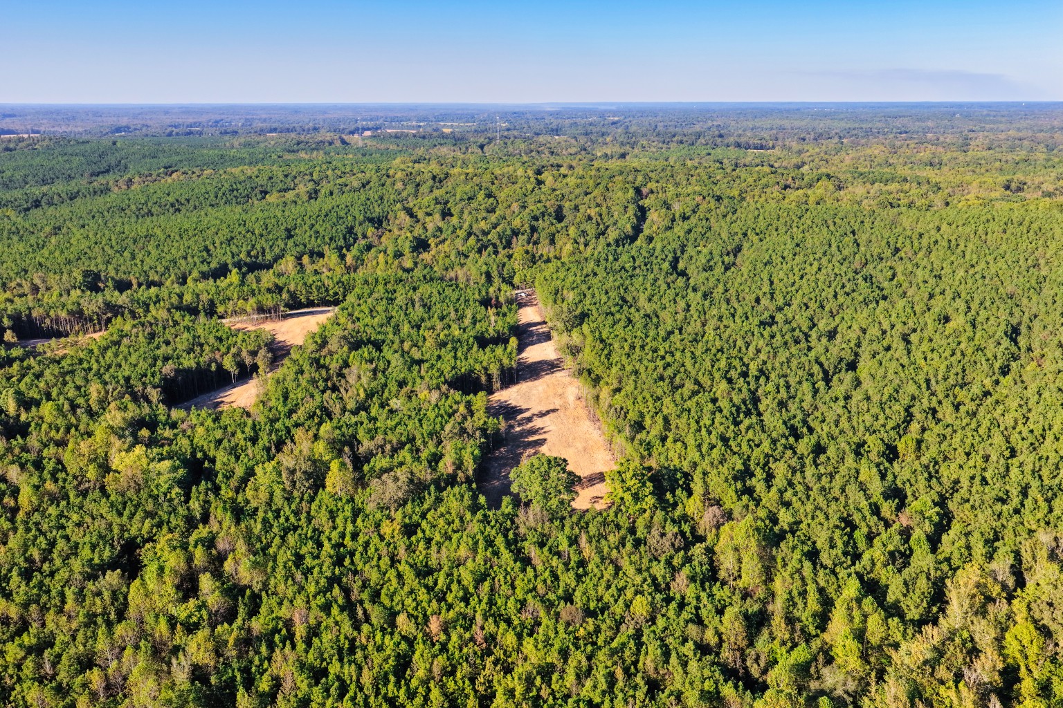 0 Williams Grove Road Camden, TN 38320 - Photo 6 of 38 Gallery Image 6