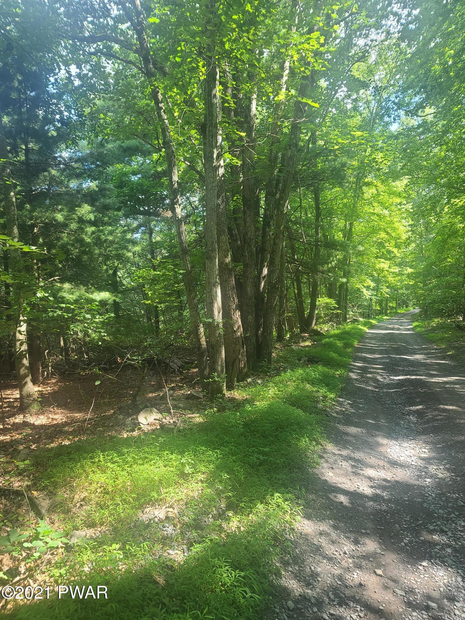 Engvaldsen Road Hawley, PA 18428 - Photo 2 of 3