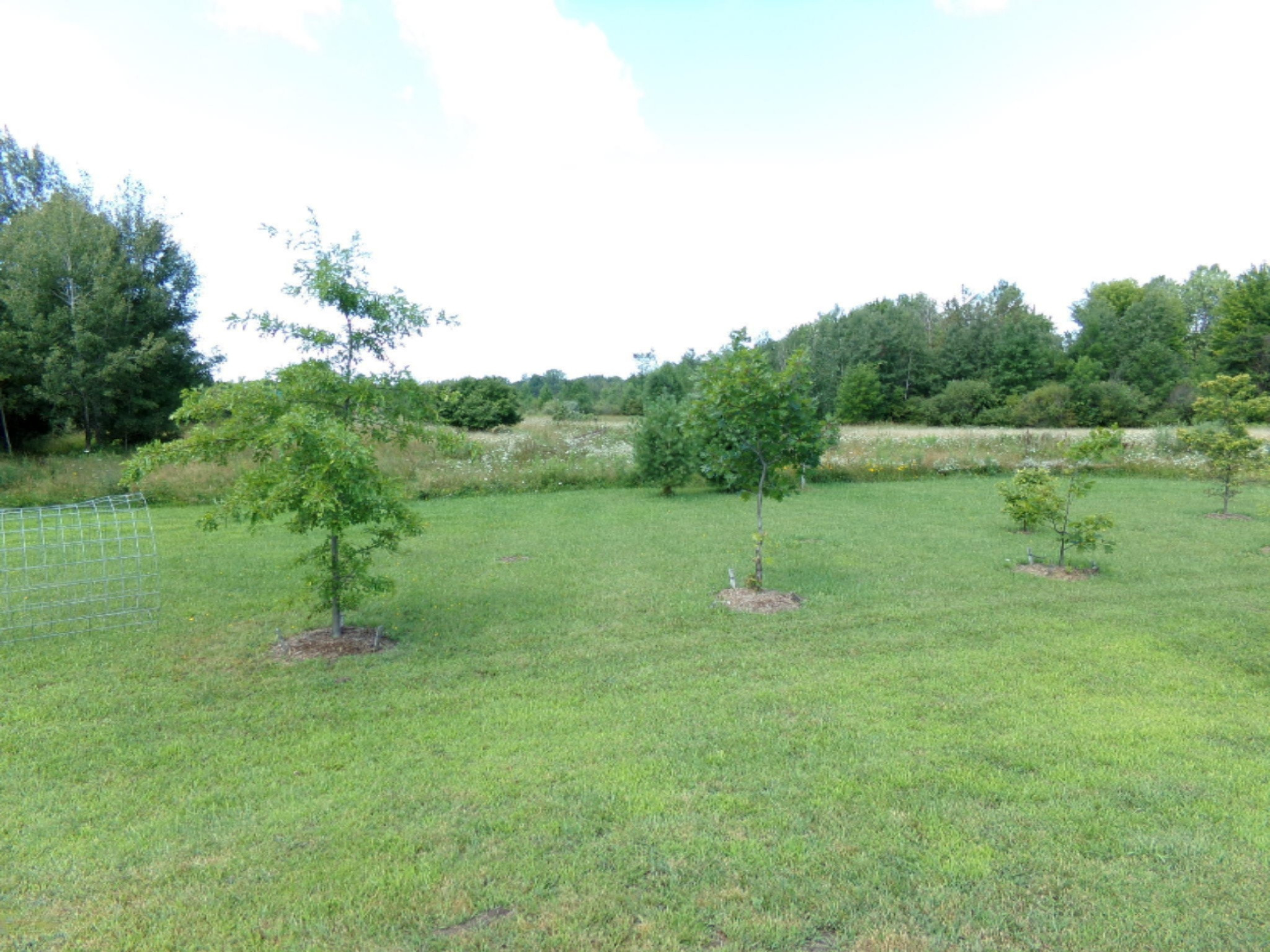 5397 Seba Road Ravenna, MI 49451 - Photo 18 of 23 105_5223