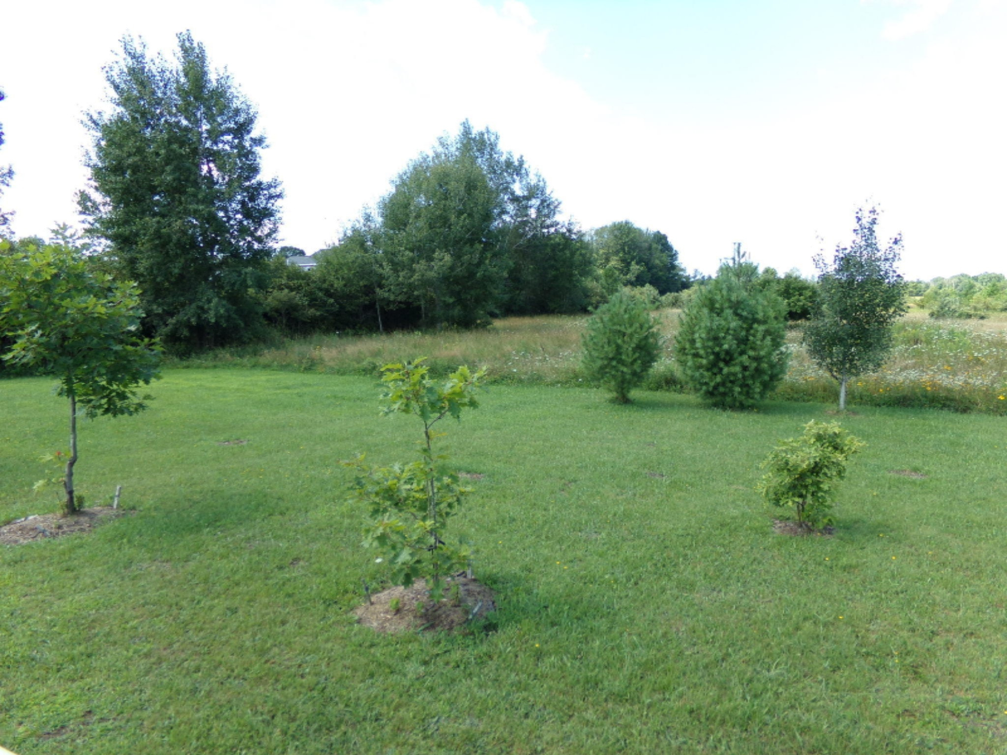 5397 Seba Road Ravenna, MI 49451 - Photo 20 of 23 105_5229