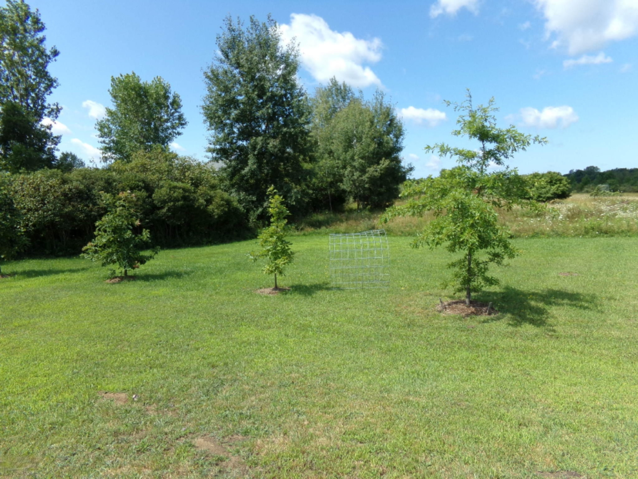 5397 Seba Road Ravenna, MI 49451 - Photo 22 of 23 105_5221