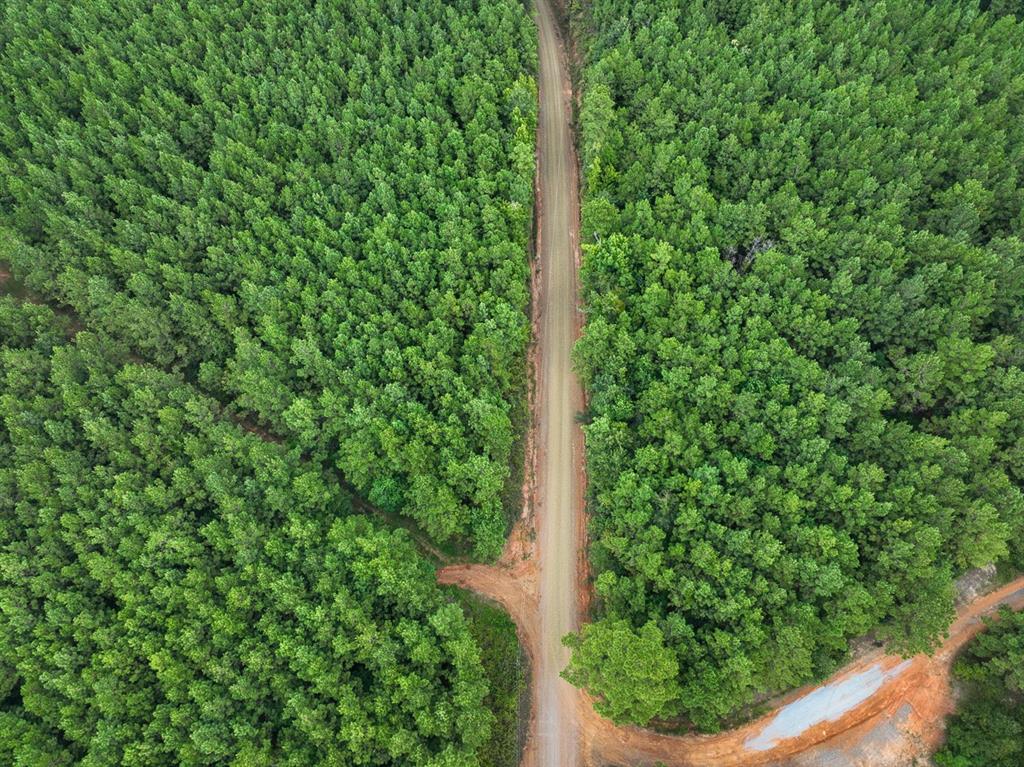 T-1 Provencal Vowell Mills Road Provencal, LA 71468 - Photo 16 of 17 Aerial overview of property's location with property boundaries highlighted and rural landscape