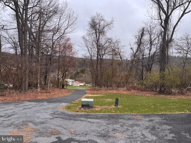 2208 Herb Road Temple, PA 19560 - Photo 33 of 34 a view of a backyard with large trees