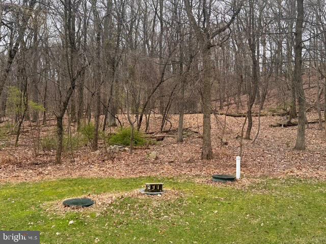 2208 Herb Road Temple, PA 19560 - Photo 5 of 34 a backyard of a house with lots of green space