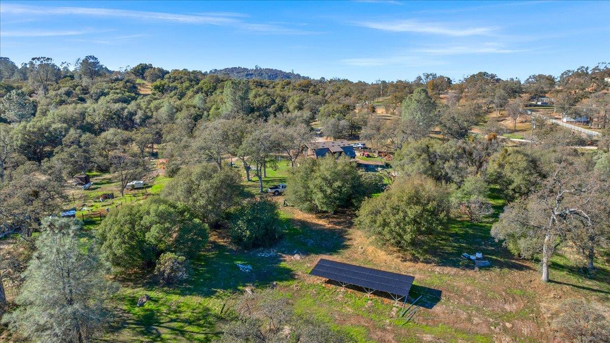 45522 Windmill Road Coarsegold, CA 93614 - Photo 66 of 74 an aerial view of a residential houses covered in trees