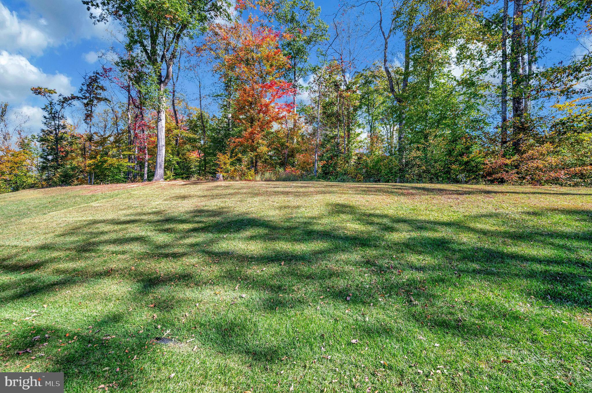34 Oak Road Stafford, VA 22556 - Photo 37 of 39 a big yard with lots of green space