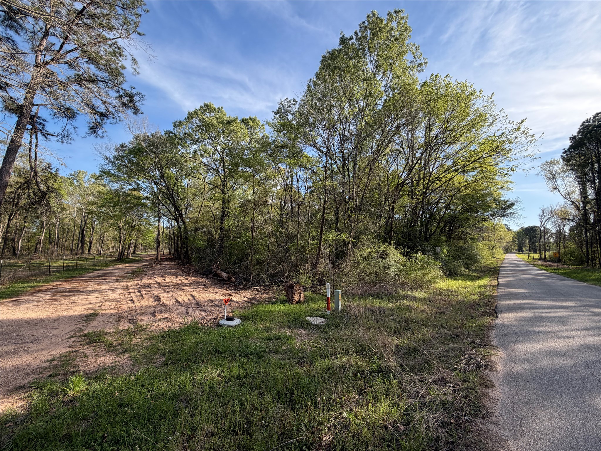 Tbd Jackson Road Coldspring, TX 77331 - Photo 4 of 8 a view of outdoor space with trees