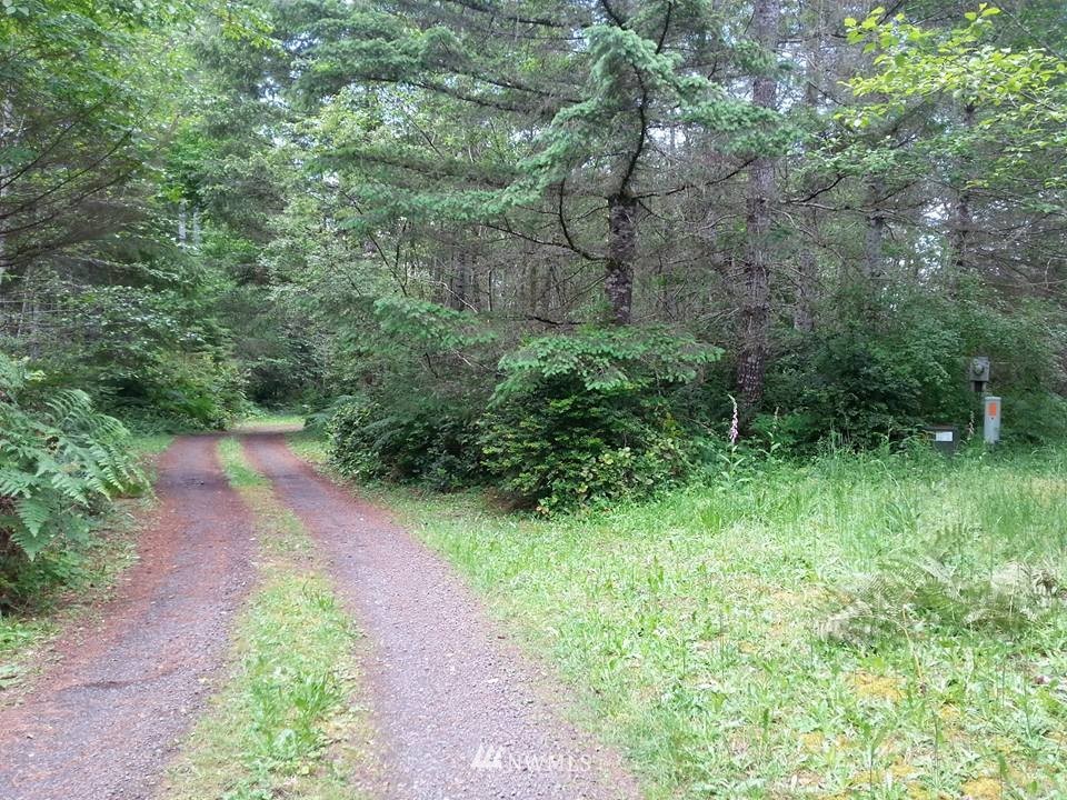 3170 East Rasor Road Belfair, WA 98528 - Photo 10 of 14 Gallery Image 10