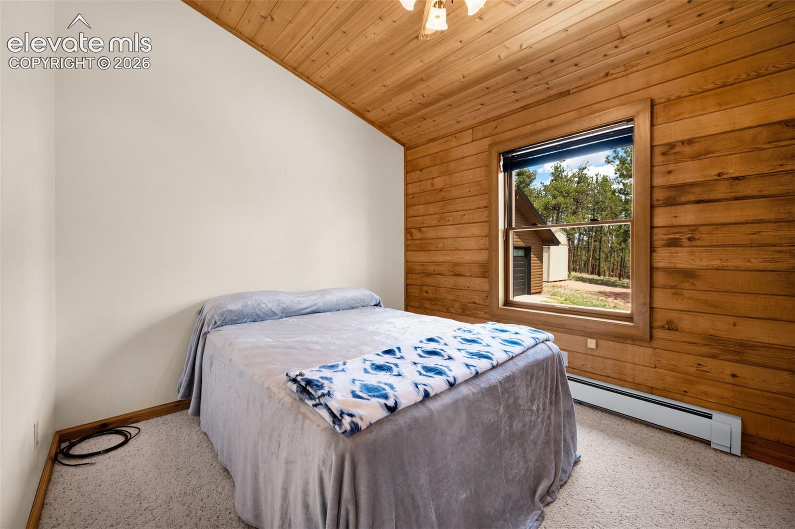 187 Thunder Ridge Road Florissant, CO 80816 - Photo 28 of 46 Gallery Image 28