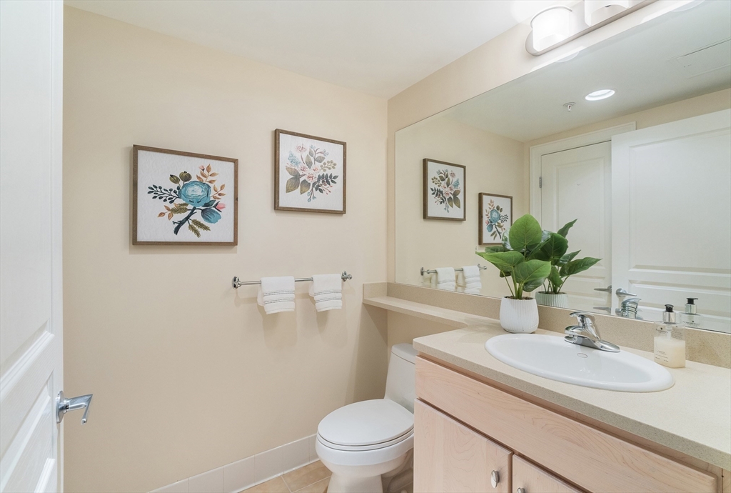 4 Repton Place, Unit 4213 Watertown, MA 02472 - Photo 18 of 19 a bathroom with a sink toilet and a mirror